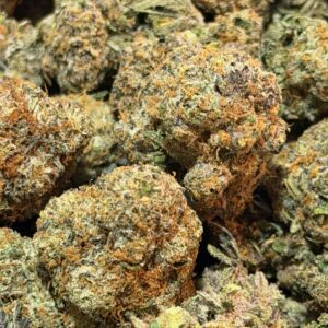 Orange Sherbet